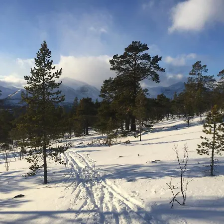 Дом отдыха Rondane Friluftsliv Ovre Nordli Sollia
